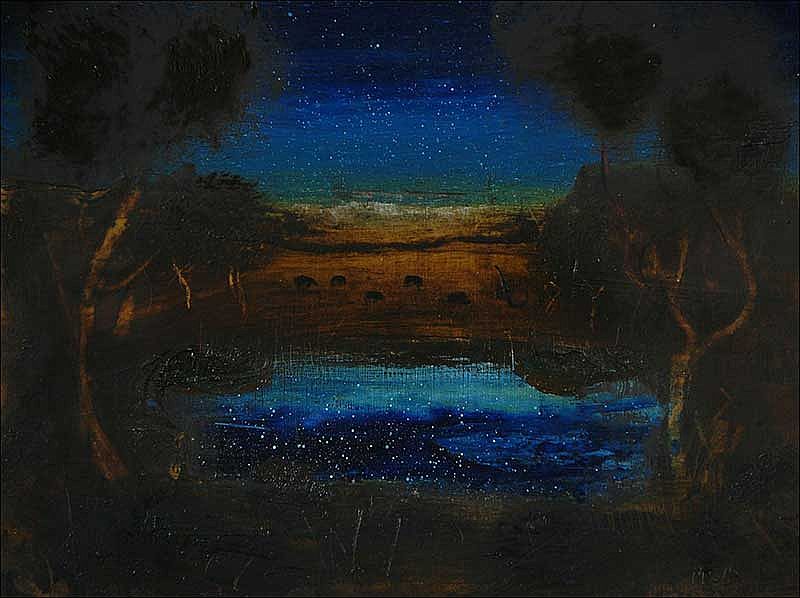 Brian McDonagh - Starry Pool 