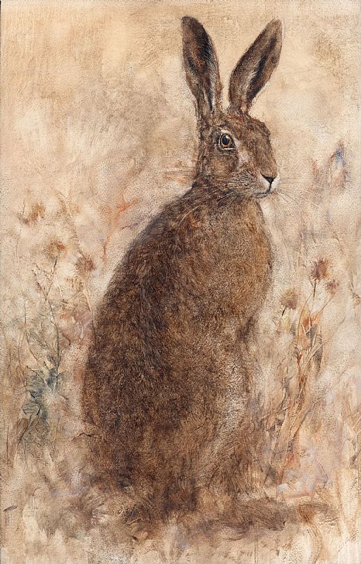 Gary  Benfield - The Curious Hare II