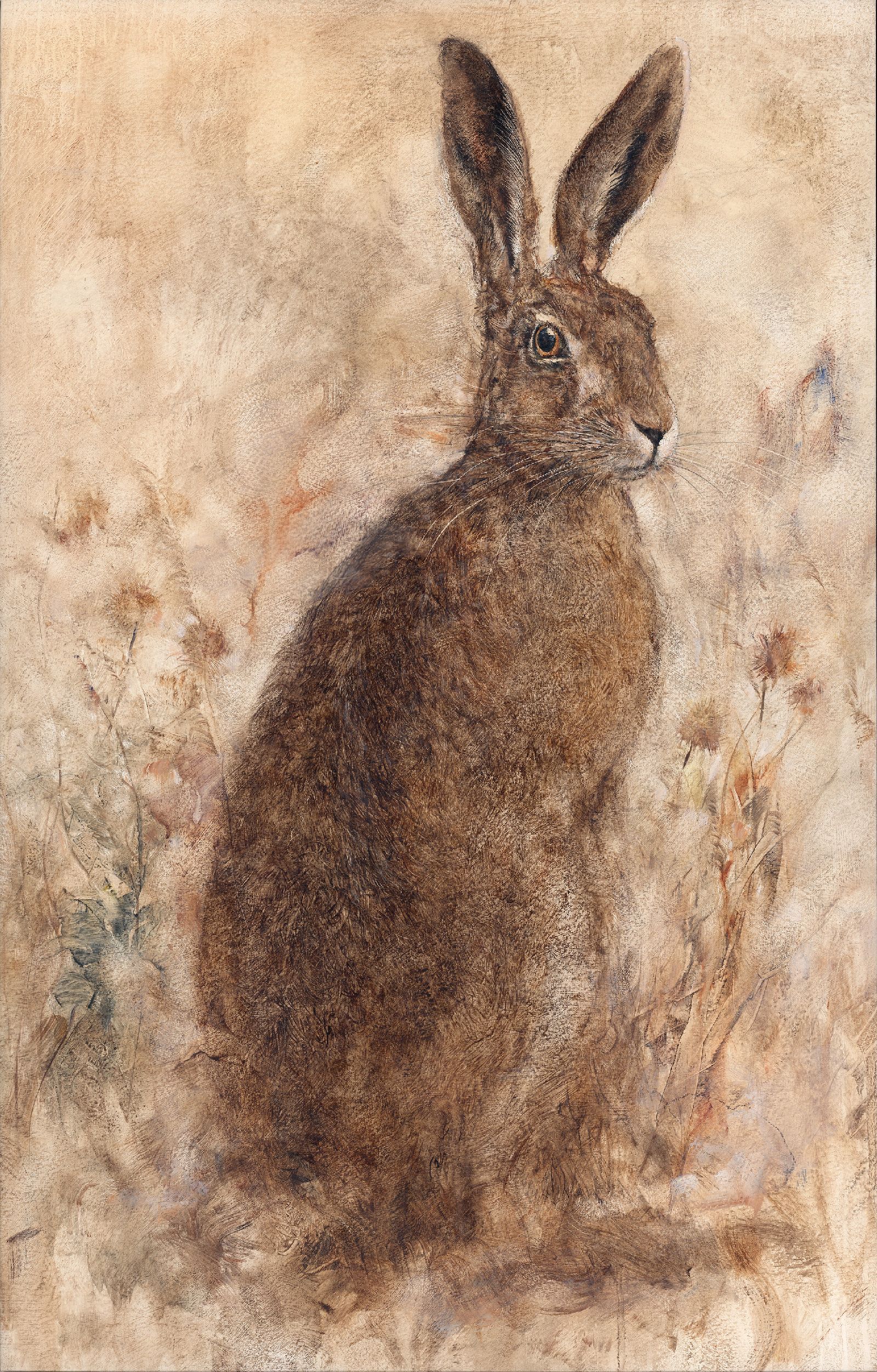 The Curious Hare II by Gary  Benfield