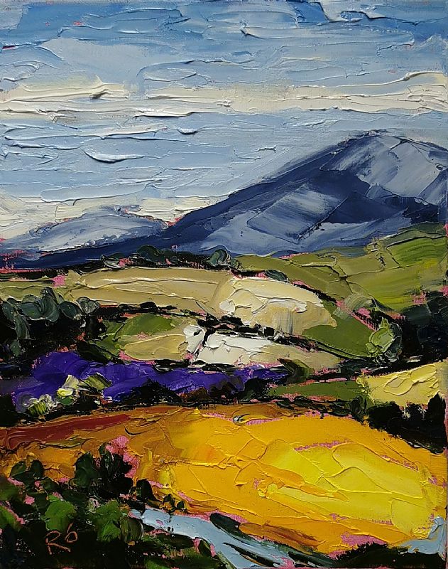 Roisin  O'Farrell - Wicklow ,Colorful meadows 1 