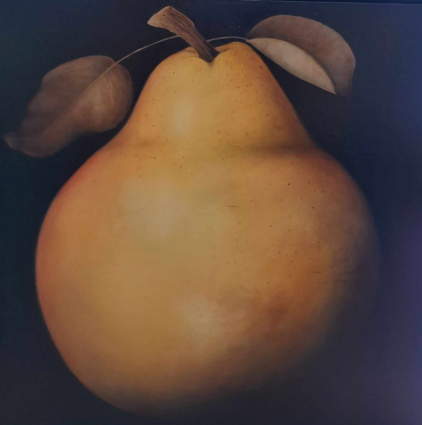 Dani Humberstone - Pear