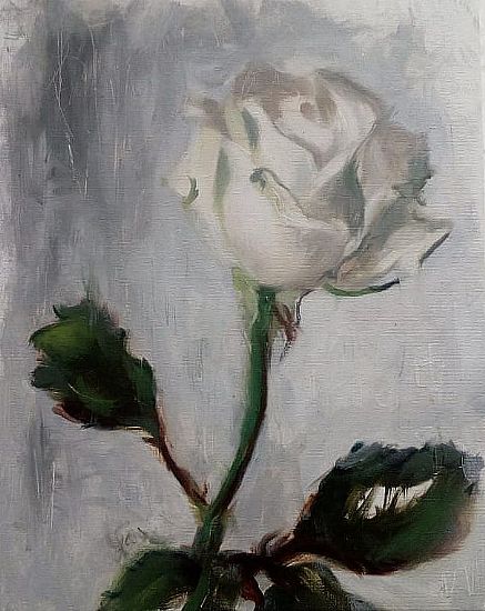 Unknown - Avalanche Rose Study II
