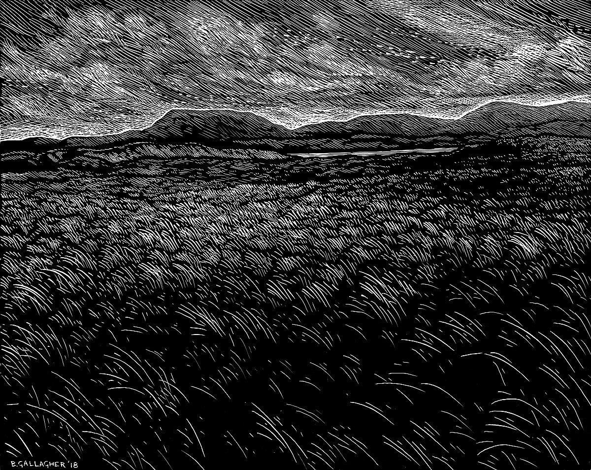 Dunne Grass by Brian Gallagher