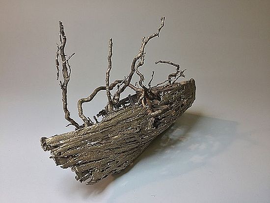 Robyn  Neild - Natural patina root