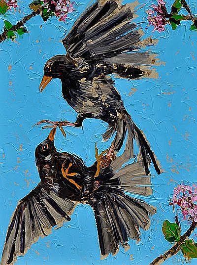 Lucy Doyle - Birds Quarrelling