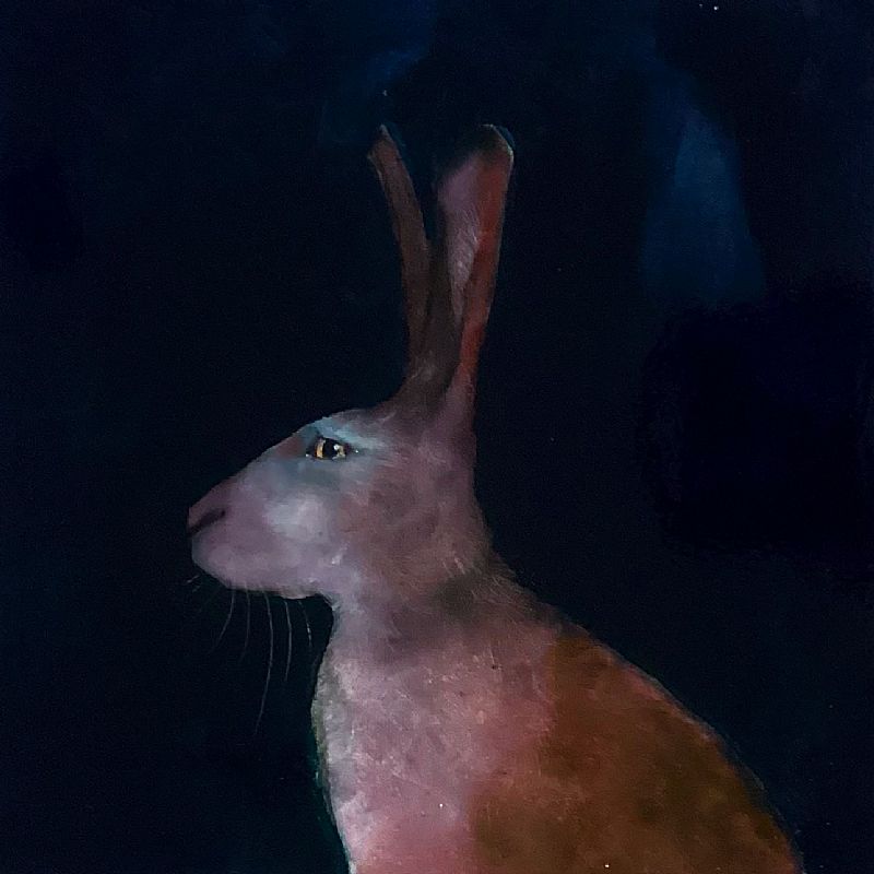 Heidi  Wickham - Yesterday’s Hare
