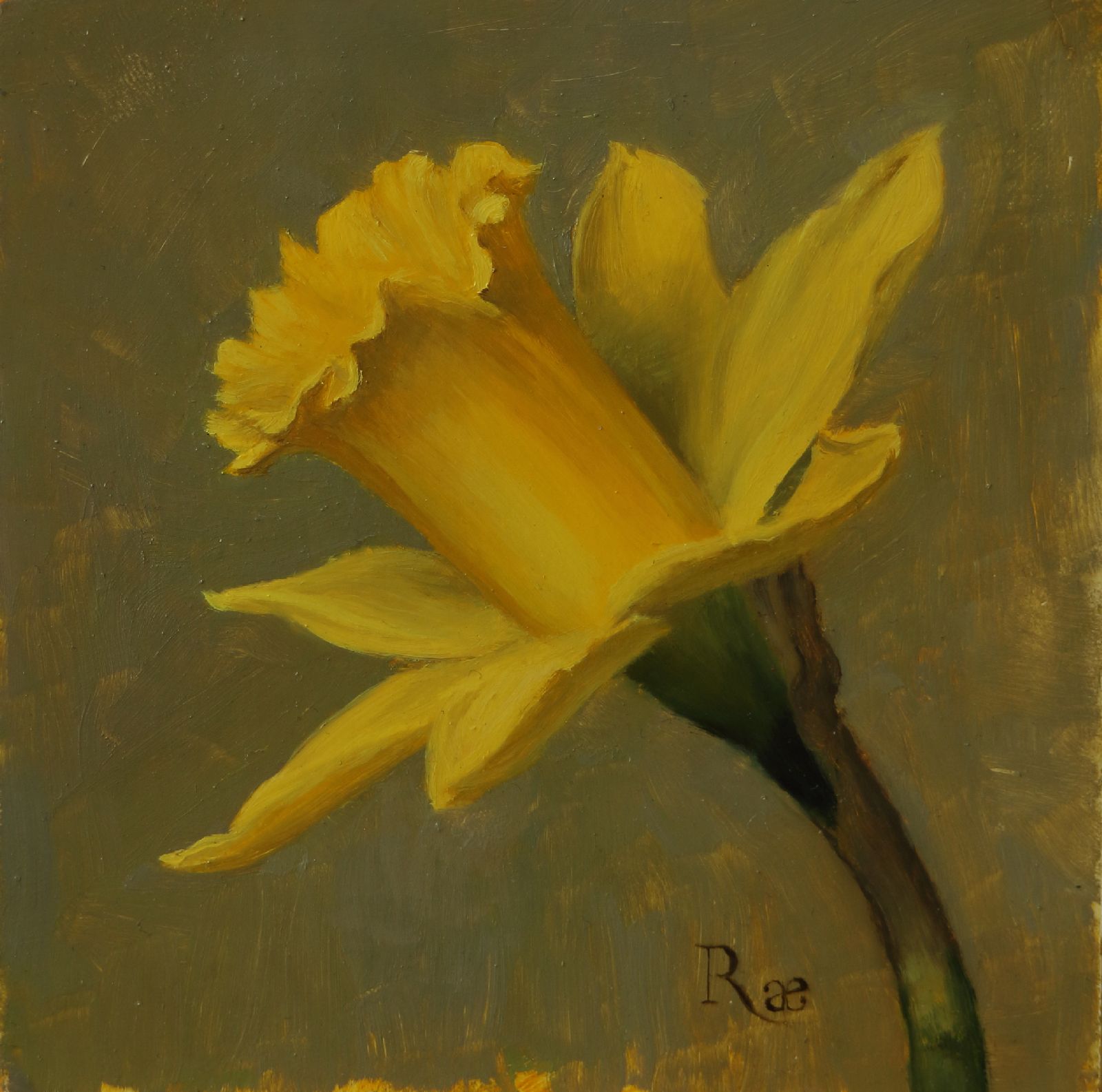 Rae Perry - Daffodil