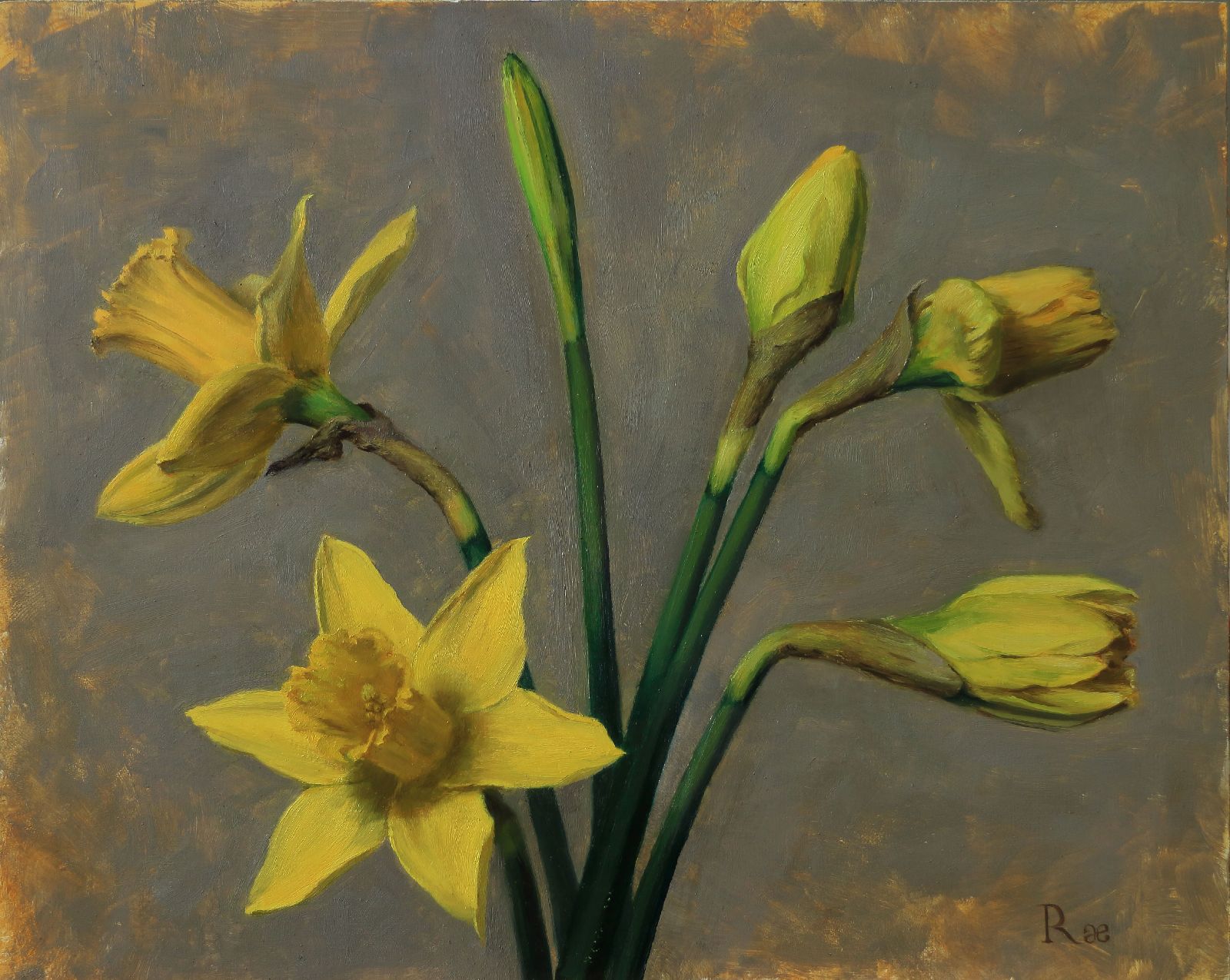 Daffodils by Rae Perry