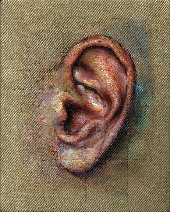 David  Agenjo - Study of an Ear