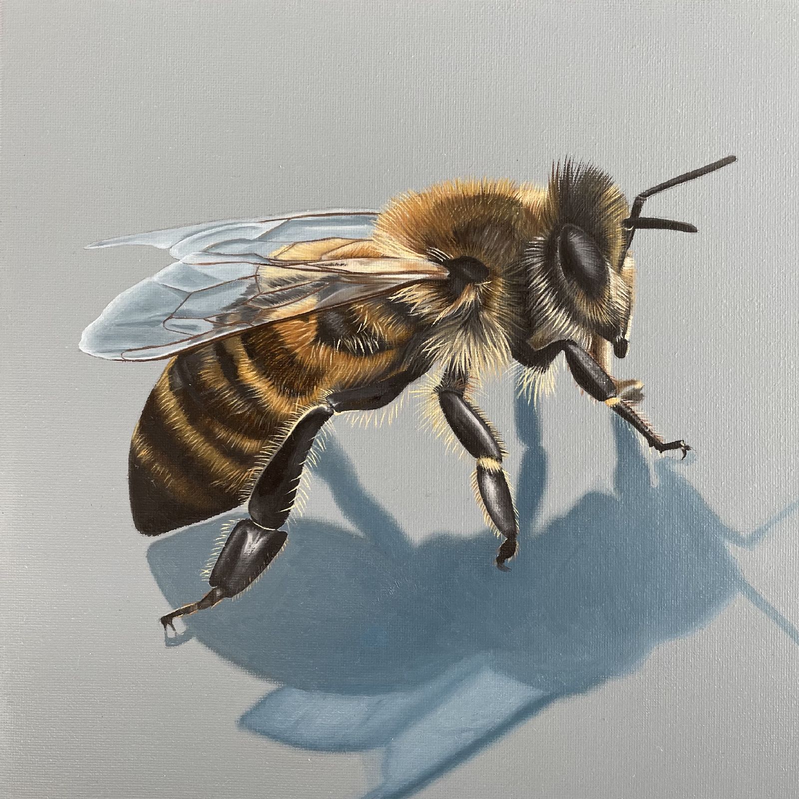 Gina Duggan - Honey Bee