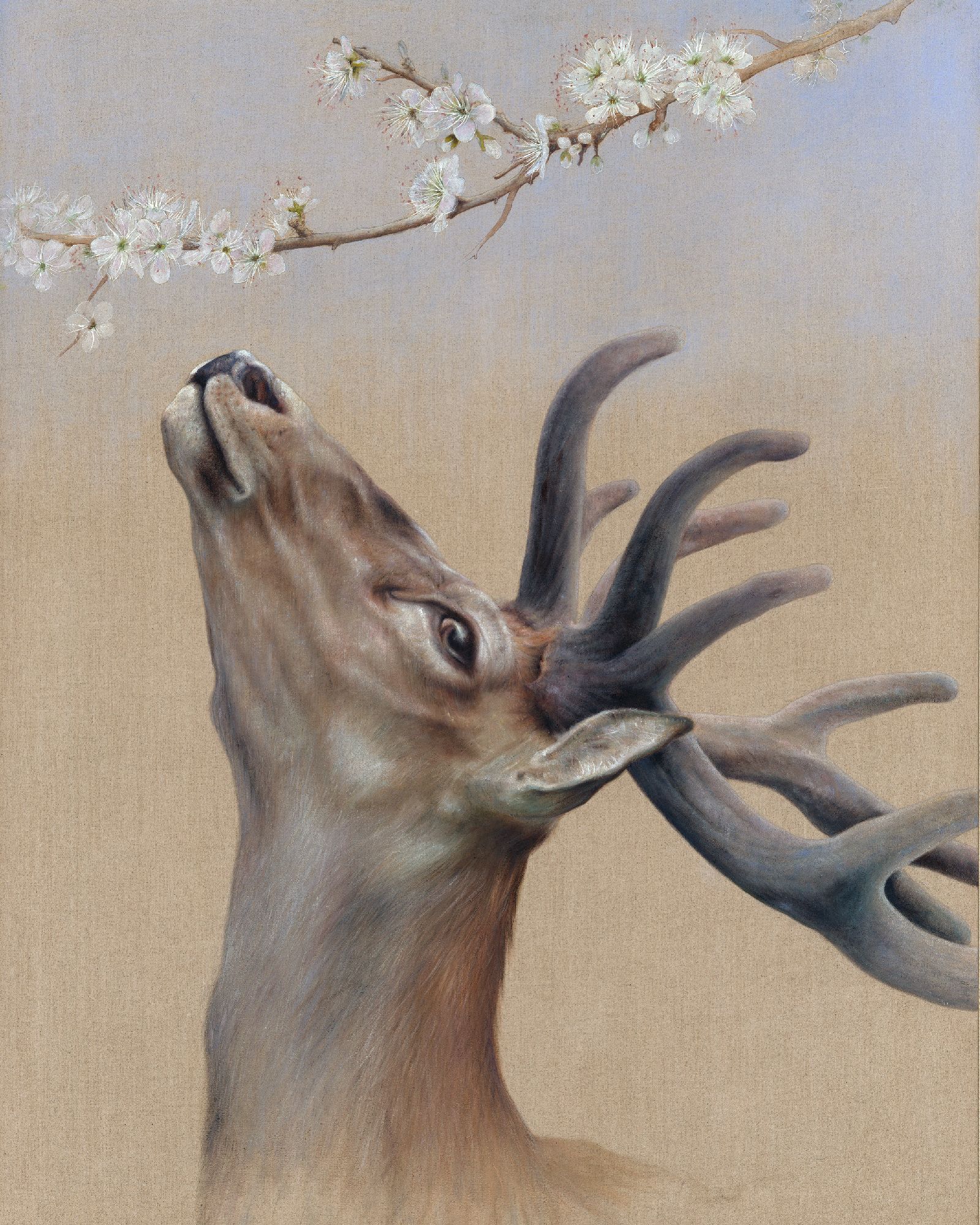 Blossom  by Karen  Lightfoot