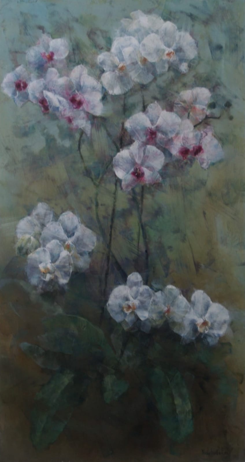 Orchids by Iwona Nartowska O Reilly