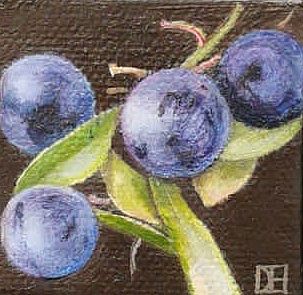 Dani Humberstone - Pocket sloe berries