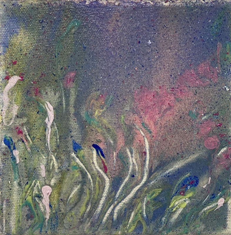 Bernadette Heenan - Summer wild flowers medow 3