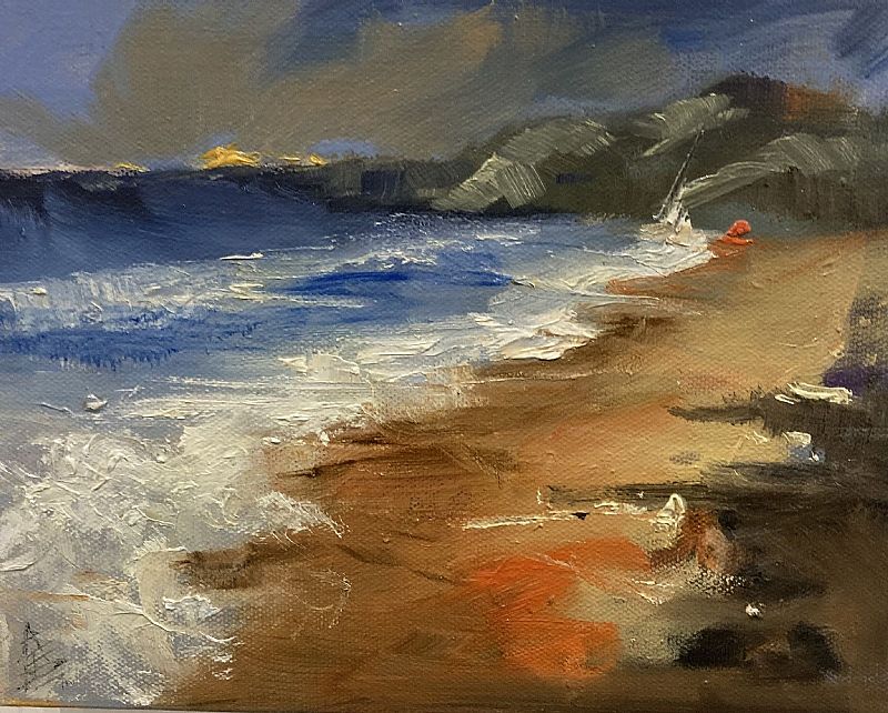 Anne  Doyle - Wet beach, early morning