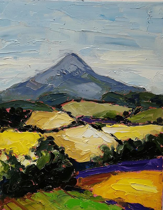 Roisin  O'Farrell - Wicklow ,Colorful meadows 4 