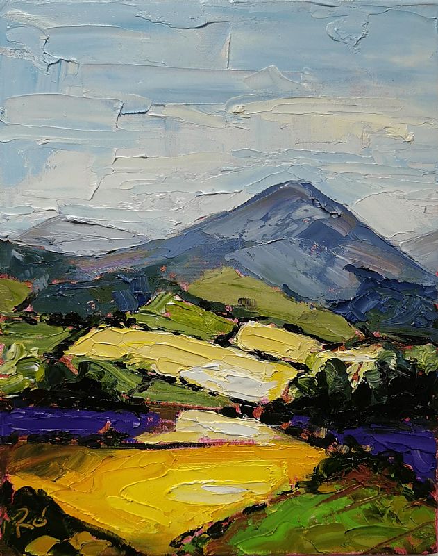 Roisin  O'Farrell - Wicklow ,Colorful meadows 2 