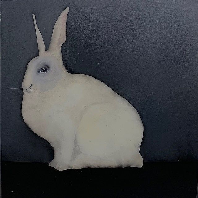 Heidi  Wickham - White rabbit II