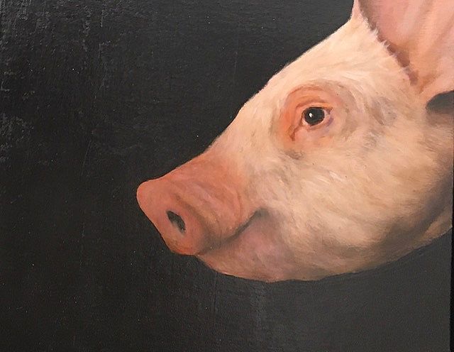 Rafael  Soares - Pig II