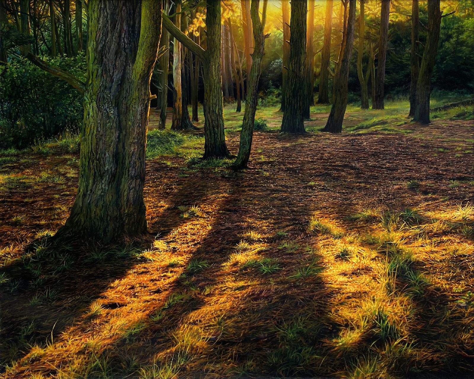 Sergey  Talichkin - Killiney Hill Park, Walk into the Light