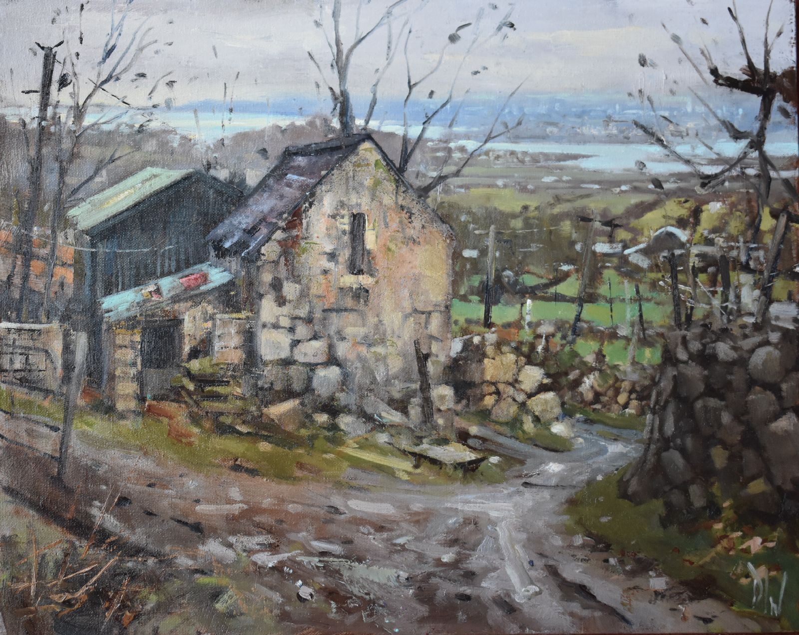 Dave West - Left for Ruin, Cooley Mountains