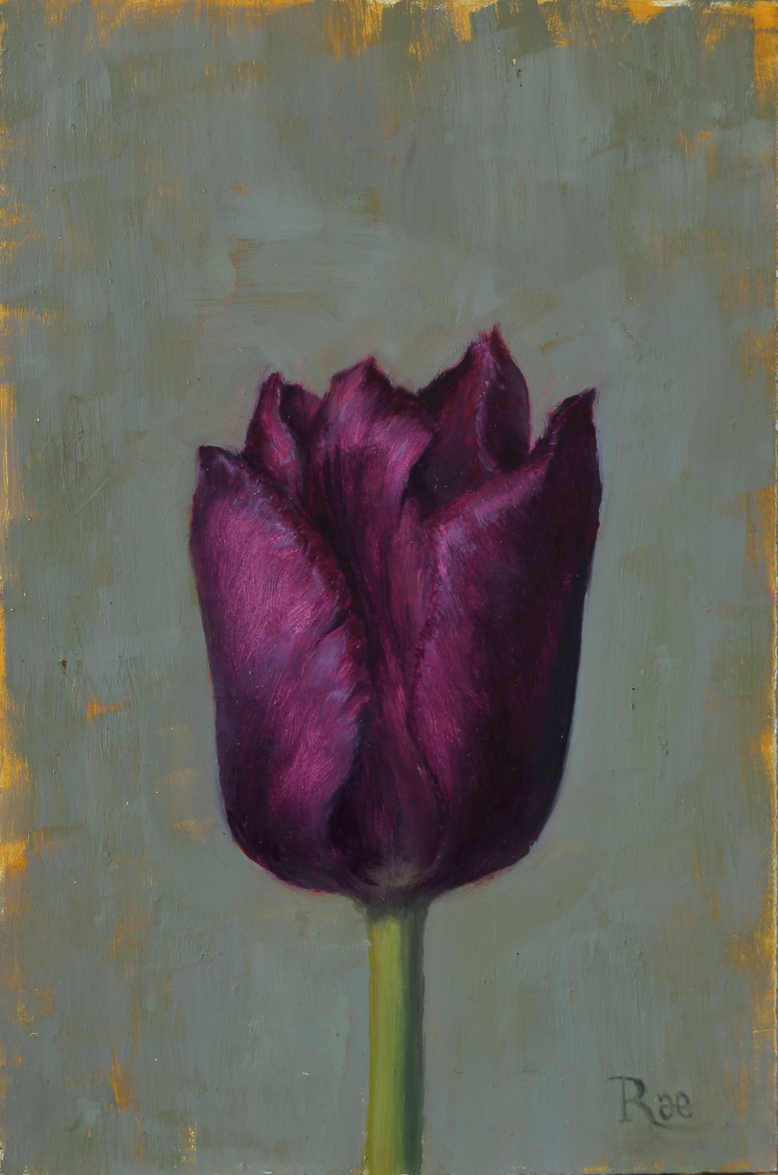 Purple Tulip by Rae Perry
